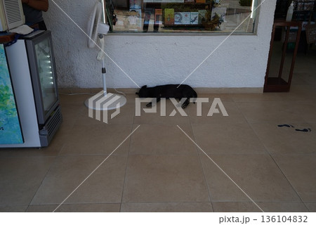 メキシコ　ウシュマン 136104832