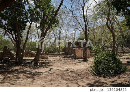 メキシコ　ウシュマン 136104833