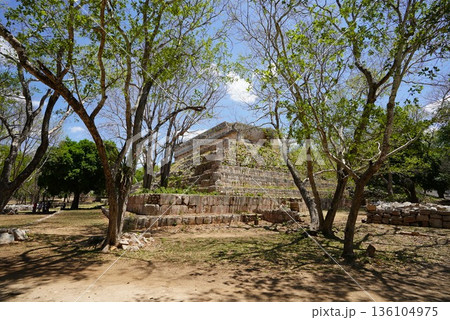 メキシコ ウシュマン遺跡 メキシコ ウシュマン遺跡 136104975