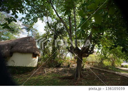 メキシコ　ウシュマン遺跡 136105039