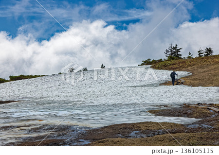 会津駒ヶ岳稜線の残雪の登山道を行く登山者 136105115