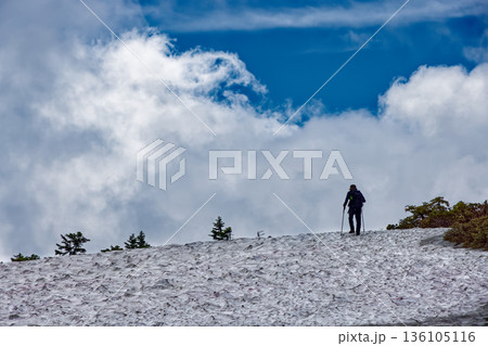 会津駒ヶ岳稜線の残雪の登山道を行く登山者 136105116