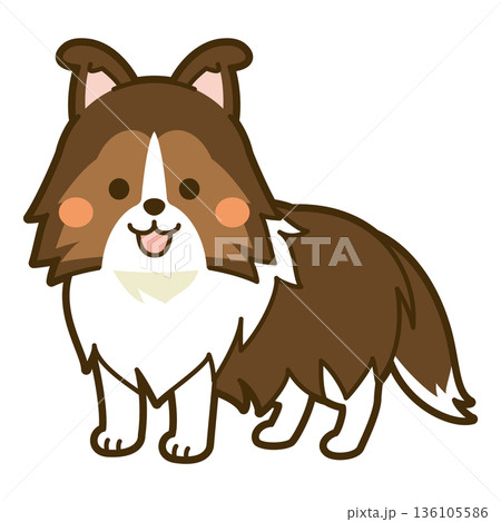 シェットランドシープドッグのイラスト 136105586