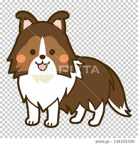 シェットランドシープドッグのイラスト 136105586