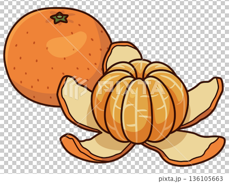 Peeling mandarin orange illustration 136105663