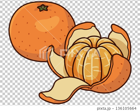 Peeling mandarin orange illustration 136105664