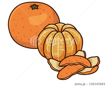 みかんのイラスト 剝き 136105665
