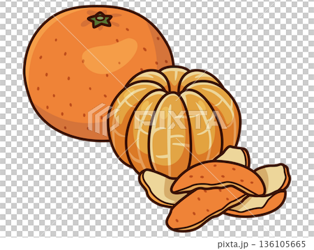 みかんのイラスト 剝き 136105665
