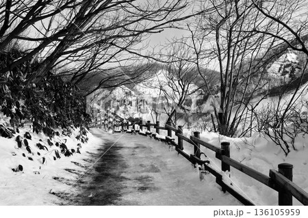 「雪が積もった遊歩道」地獄谷中心部へと続く 136105959