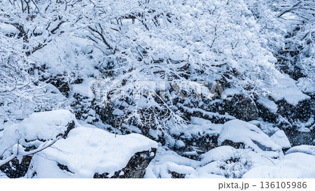 佐見川峡（冬） 136105986