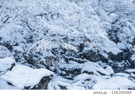 佐見川峡（冬） 136105988