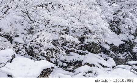 佐見川峡（冬） 136105989