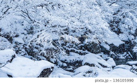 佐見川峡（冬） 136105990