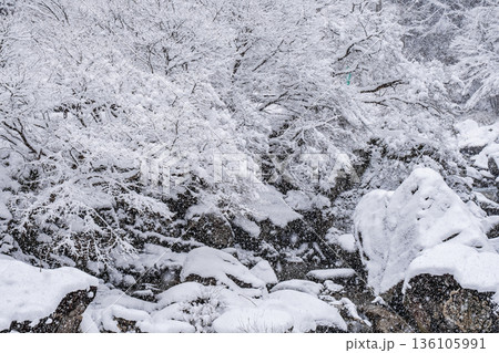 佐見川峡（冬） 136105991