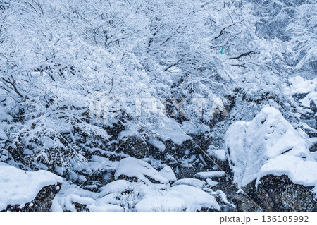 佐見川峡（冬） 136105992