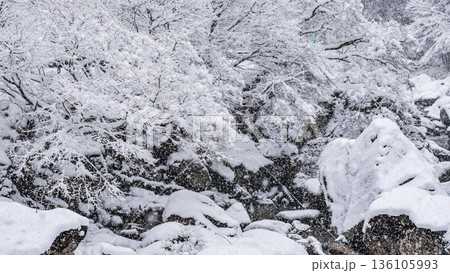 佐見川峡（冬） 136105993