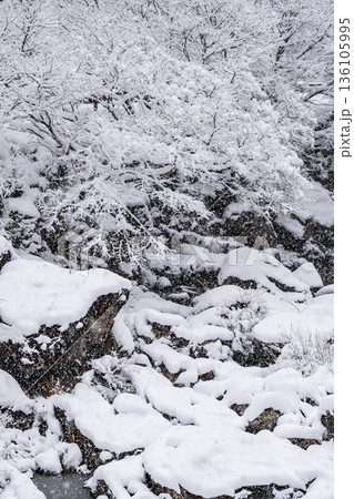 佐見川峡（冬） 136105995