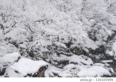 佐見川峡（冬） 136105999