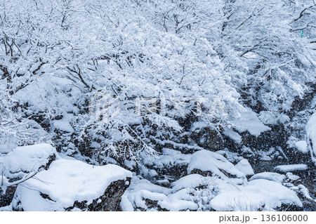 佐見川峡（冬） 136106000