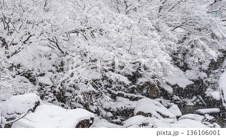 佐見川峡（冬） 136106001