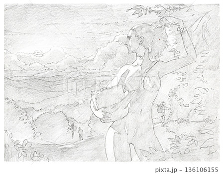 Hand-drawn pencil sketch of a female backpacker harvesting coffee beans in nature at sunrise 136106155