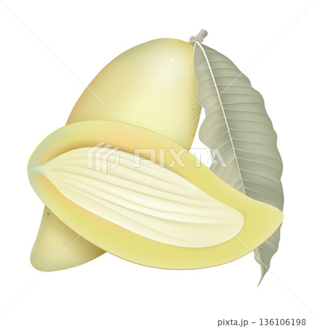 Fresh ripe Barracuda mango and a cross section with leave on white 136106198