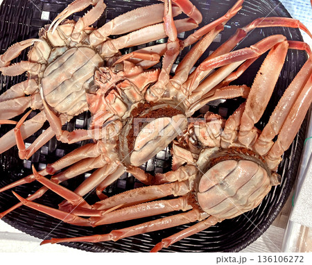 セイコガニ 136106272