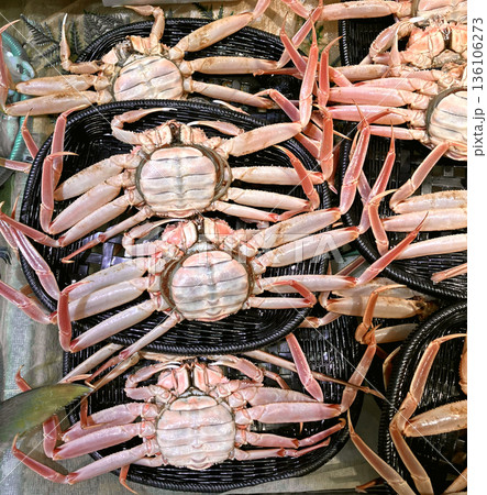 セイコガニ 136106273