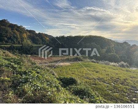 山村の風景(石川県金沢市) 山村の風景(石川県金沢市) 136106551