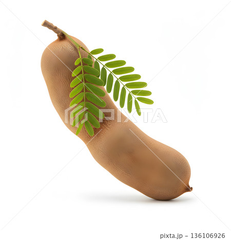 Tamarind Fruit Tilted Pod with Green Leaves Floating 136106926