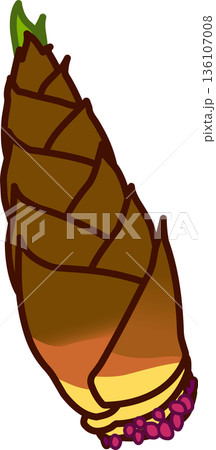 新鮮なタケノコ（根っこあり） 136107008