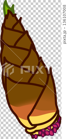 新鮮なタケノコ（根っこあり） 136107008