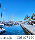 Scenic view of a marina in Gran Canaria, Spain. Numerous yachts and sailboats are anchored, their masts reaching into the clear blue sky 136107190