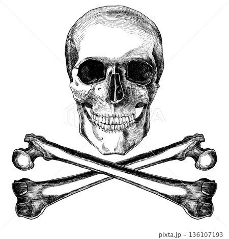 Black and white skull and crossbones illustration in engraved style.Detailed hand-drawn skeleton head with crossed bones, for logos, tattoos, gothic designs. Monochrome vector on white background Black and white skull and crossbones illustration in engraved style.Detailed hand-drawn skeleton head with crossed bones, for logos, tattoos, gothic designs. Monochrome vector on white background 136107193