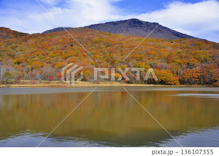 古池と黒姫山 古池と黒姫山 136107355