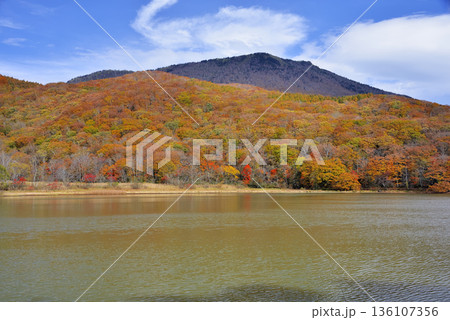 古池と黒姫山 古池と黒姫山 136107356