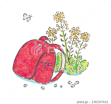 菜の花とランドセルのイラスト 菜の花とランドセルのイラスト 136107432
