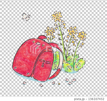 菜の花とランドセルのイラスト 菜の花とランドセルのイラスト 136107432
