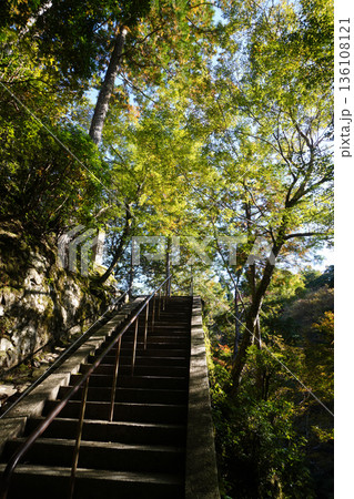 京都槙尾西明寺の秋の参道風景 136108121