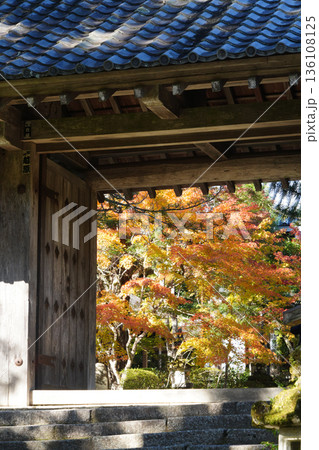 京都槙尾西明寺の秋の参道風景 京都槙尾西明寺の秋の参道風景 136108125