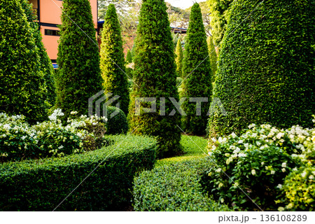 Luxury landscape design of the tropical garden.  136108289