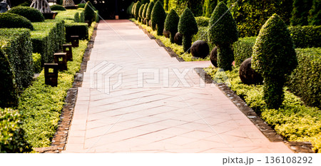 Luxury landscape design of the tropical garden.  136108292