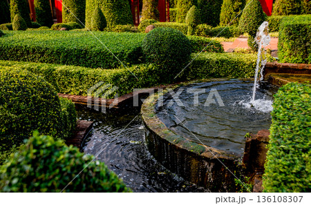 Luxury landscape design of the tropical garden. Luxury landscape design of the tropical garden. 136108307