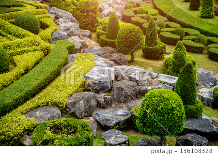 Luxury landscape design of the tropical garden.  136108328