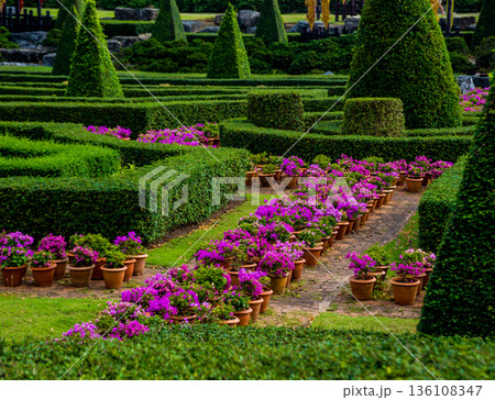 Luxury landscape design of the tropical garden. Luxury landscape design of the tropical garden. 136108347