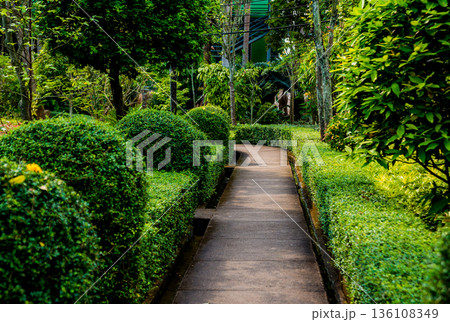 Luxury landscape design of the tropical garden. Luxury landscape design of the tropical garden. 136108349