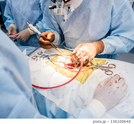 Spinal surgery. Group of surgeons in operating room with surgery equipment. Spinal surgery. Group of surgeons in operating room with surgery equipment. 136108648