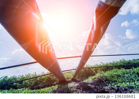 Drip irrigation system. Water saving drip irrigation system 136108681