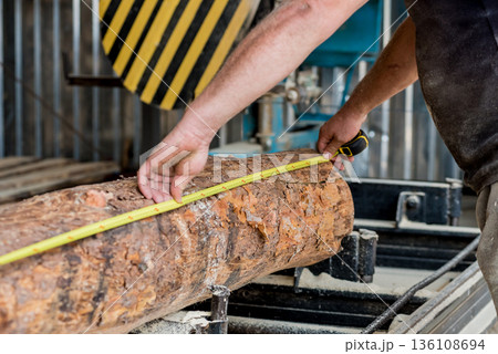Modern sawmill. Industry sawing boards from logs 136108694