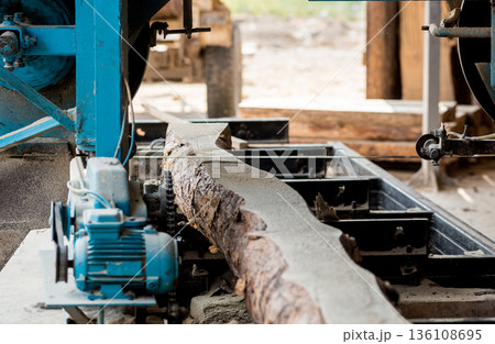 Modern sawmill. Industry sawing boards from logs 136108695